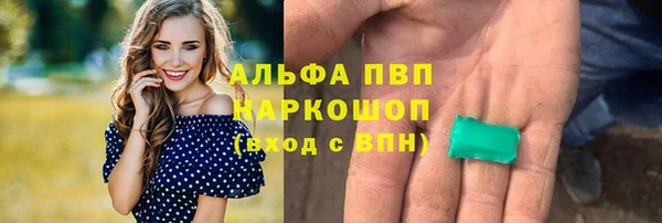 ешки Белокуриха