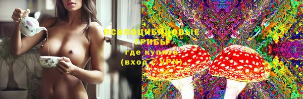 ешки Белокуриха