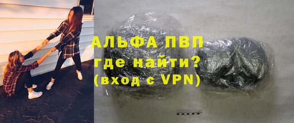 ешки Белокуриха