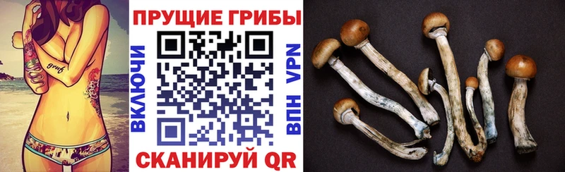 Псилоцибиновые грибы GOLDEN TEACHER  Пионерский 
