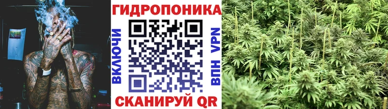 Каннабис AK-47  Пионерский 